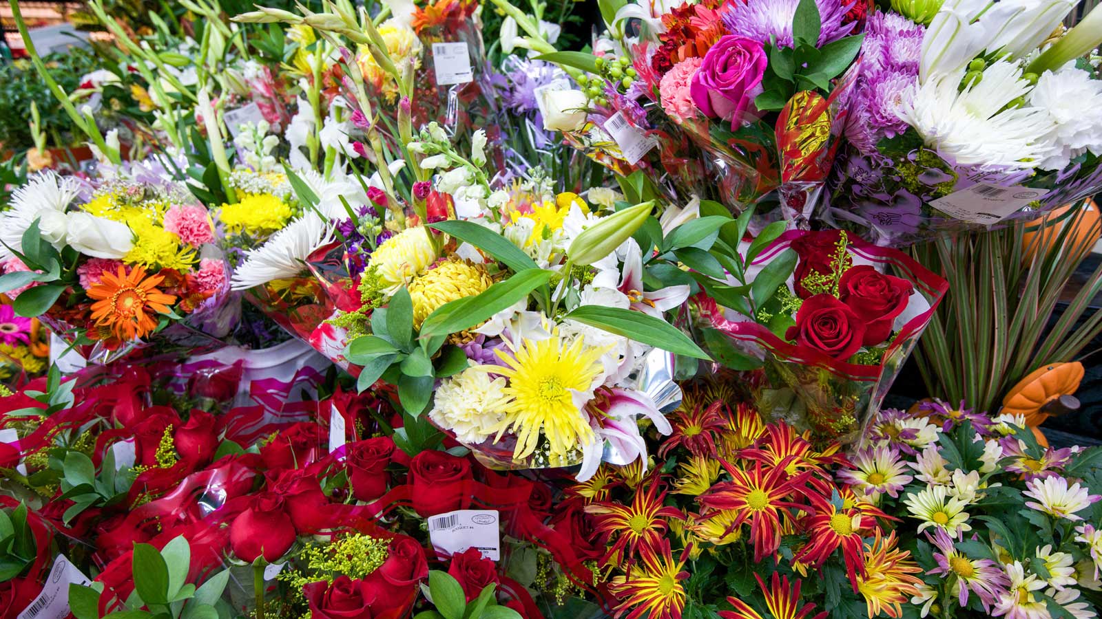 plants, floral